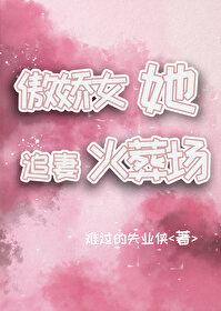 傲娇总裁追妻火葬场gl