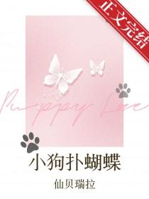 小狗扑蝴蝶番外