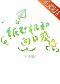 纸飞机和向日葵不见知时