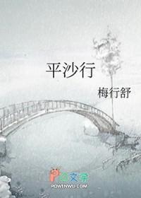 平沙行鸭队图片