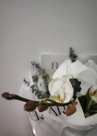 我的未婚妻是总裁