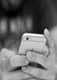 唯粉是谁的粉丝