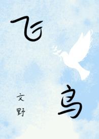 文豪野犬漫画免费观看