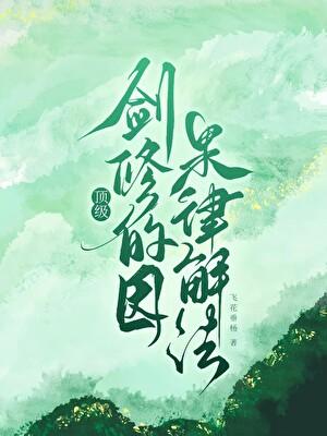 顶级剑修的因果律解法