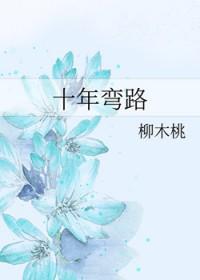 十年弯路